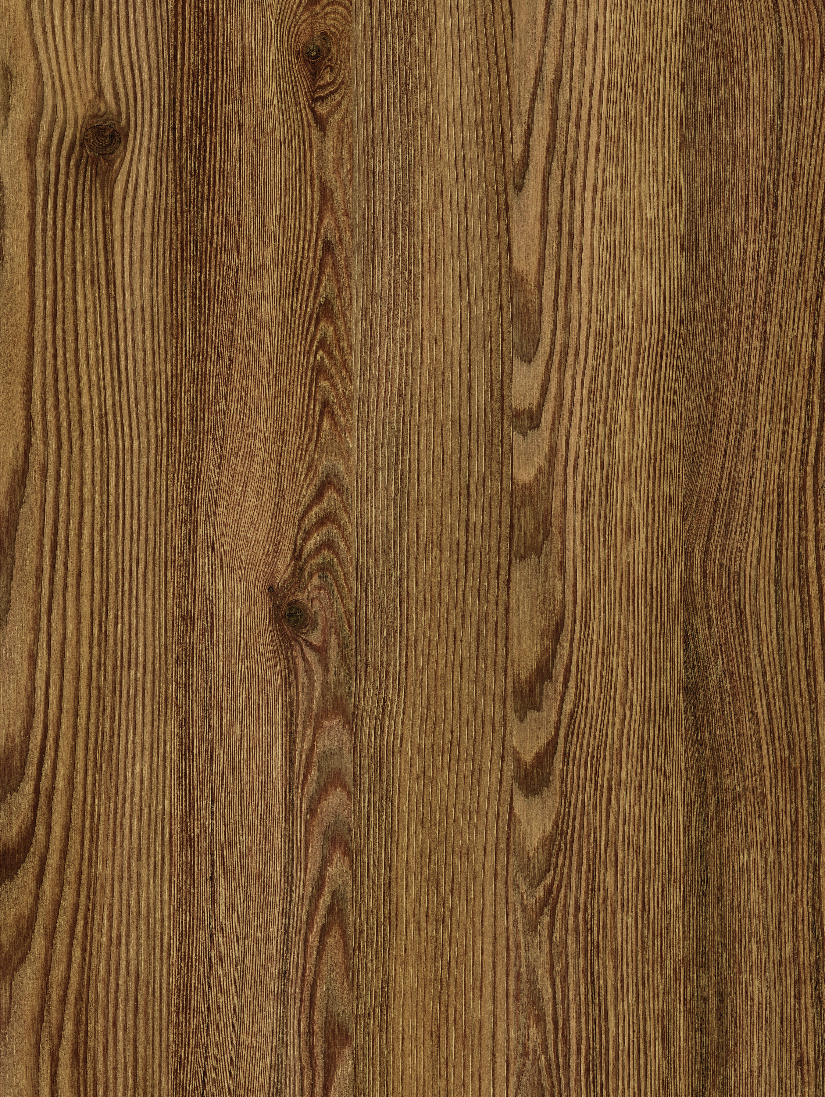 Creek Larch | Fundermax